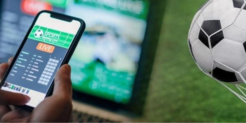 Quy trình trải nghiệm hình thức cá độ bóng đá