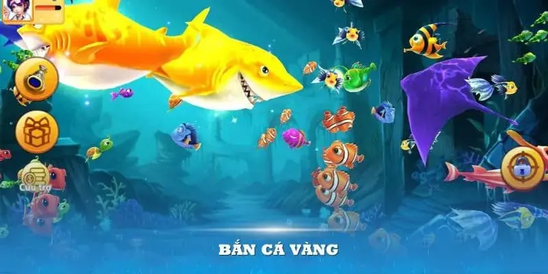 Bắn Cá Vàng - Đồng Hành Cùng 8KBET Chinh Phục Đại Dương 4 Phòng bắn trong quá trình tham gia